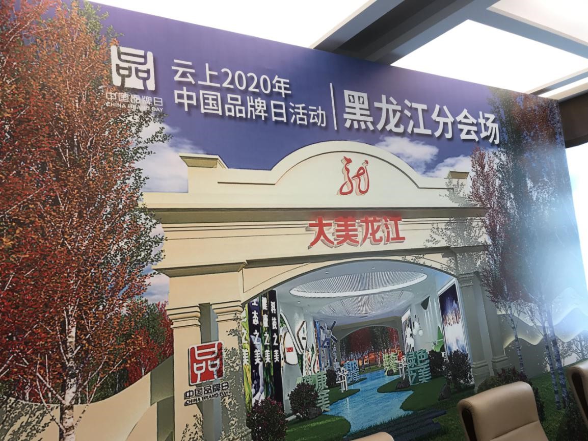 Cloud China brand day 2020 starts Dongsheng participated in the activities of He